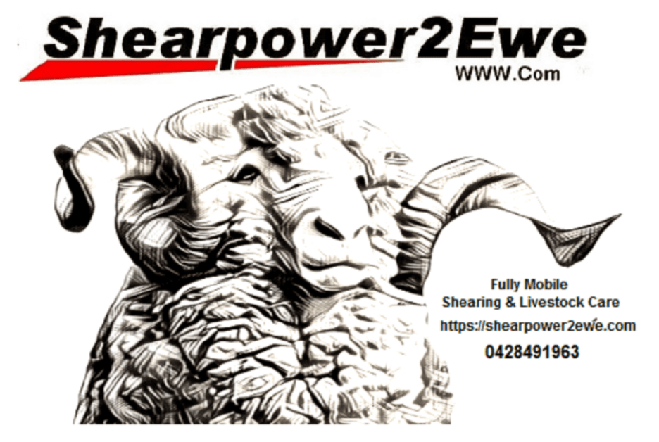 Illustration of a ram with Shearpower2Ewe contact details – Fully Mobile Shearing & Livestock Care